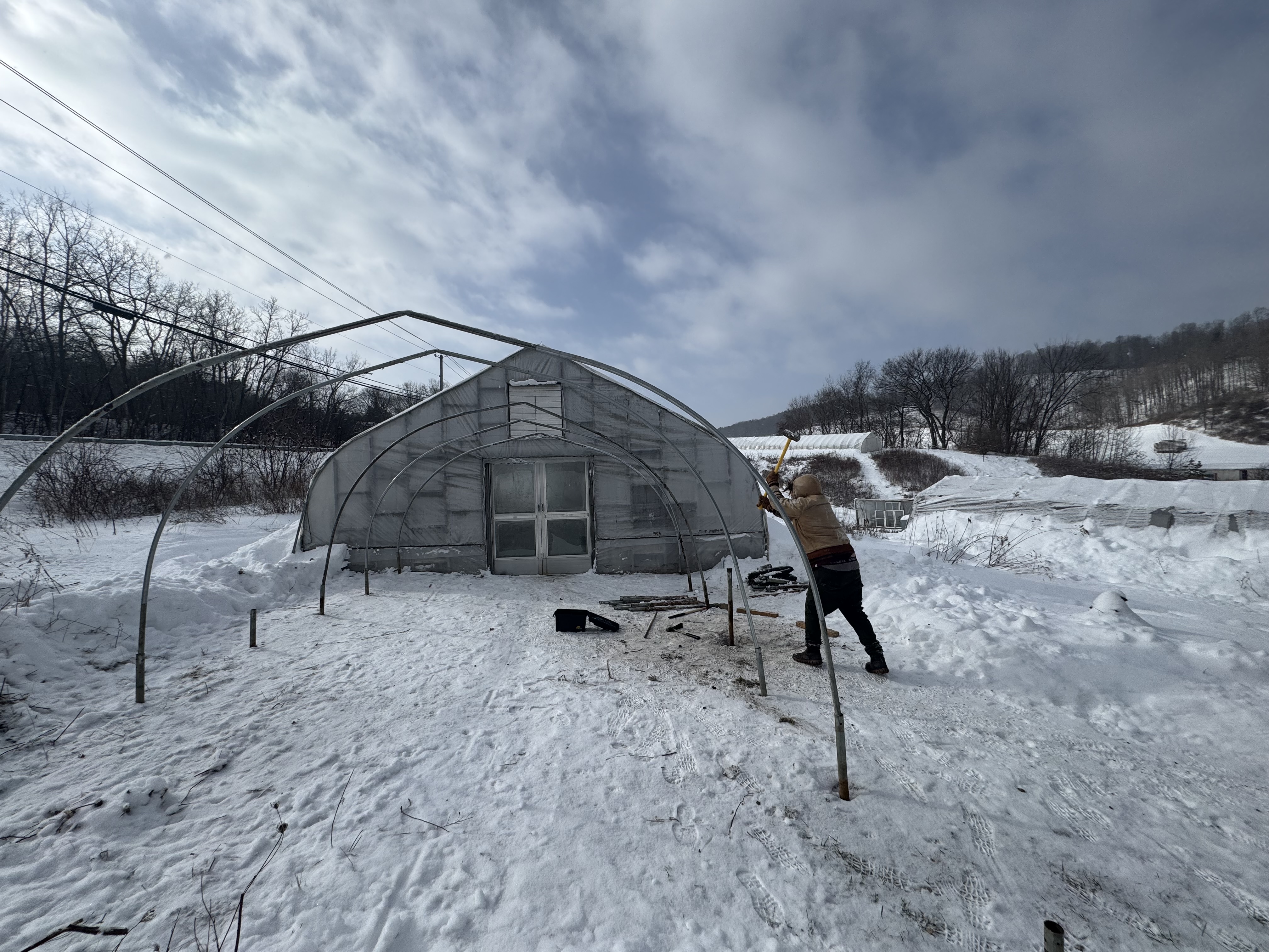 Sprouting Heart Farm