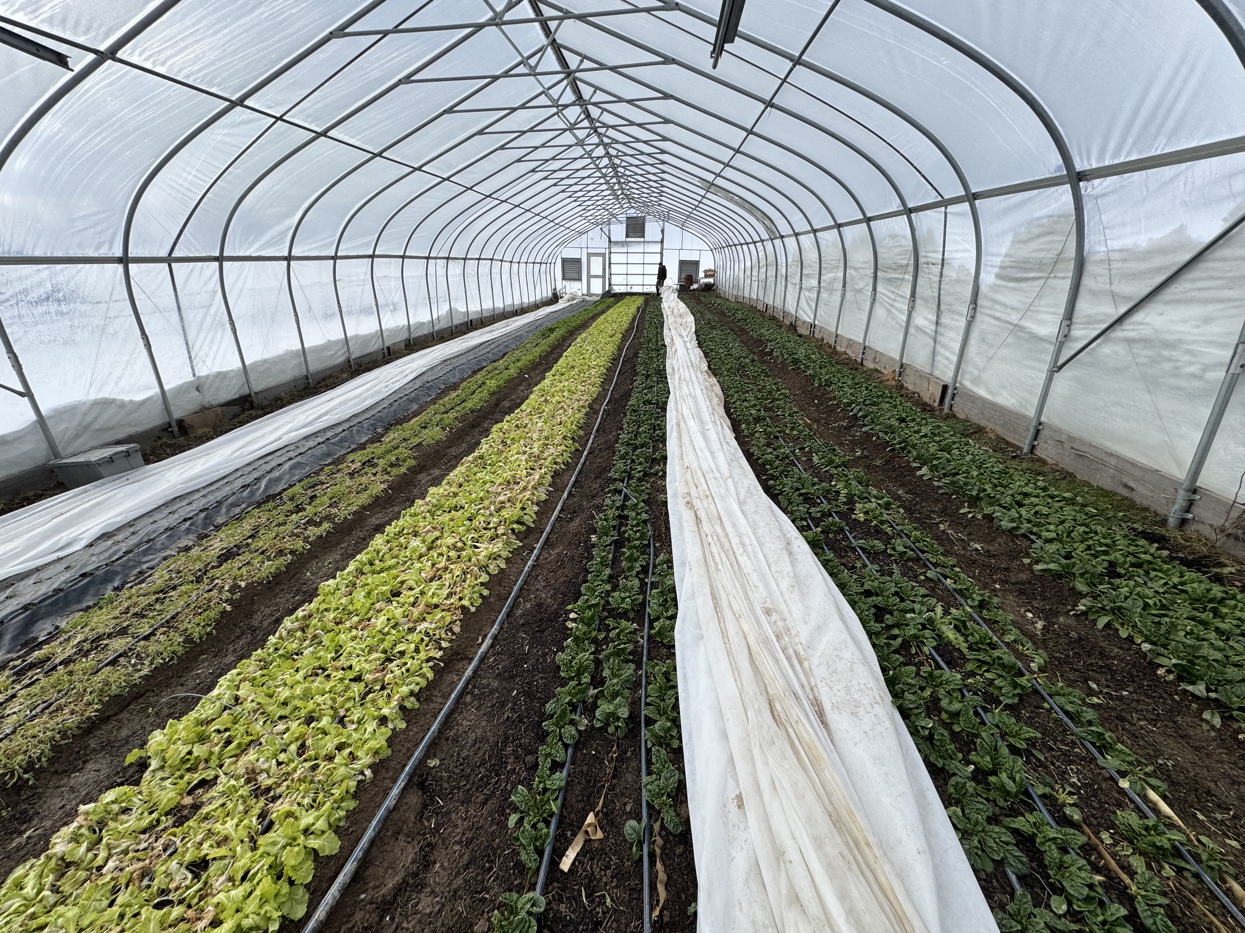 Farm work