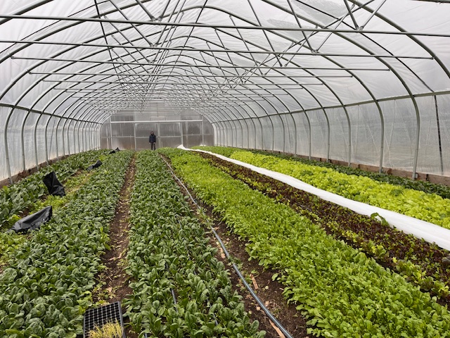 Farm view