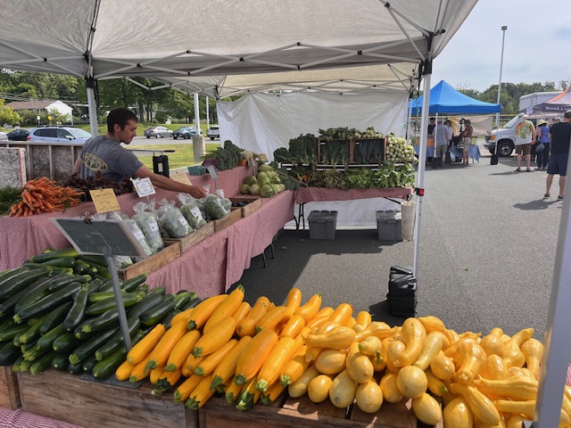 Farmers market scene